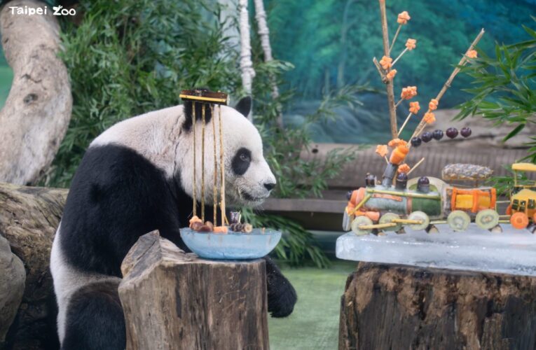 圓圓邁入銀齡　北市動物園端出創意蔬果列車慶22歲生日