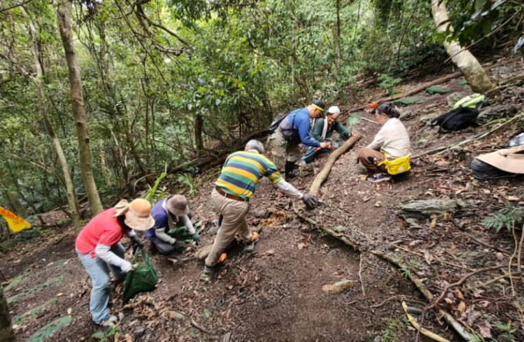 把握暑假最後時間 寶來手作步道二日遊 邀您手護山林泡暖湯