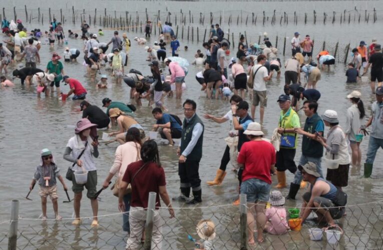 銅板價玩翻濱海！台南七股海鮮節湧入千人下水體驗漁村樂