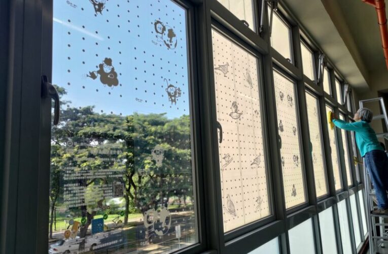 守護飛羽安全！高雄大學首創防鳥撞窗貼行動