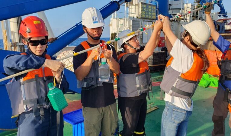 藍碳不只留在海岸！中山大學研究發現千米深海仍有紅樹林、海草訊號