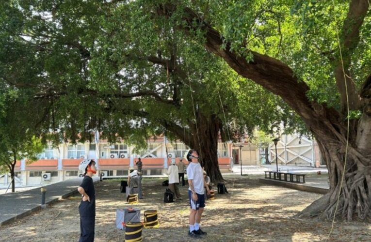 南臺科大休閒系合作業界 開辦「攀樹丙級教練」培訓專業人才