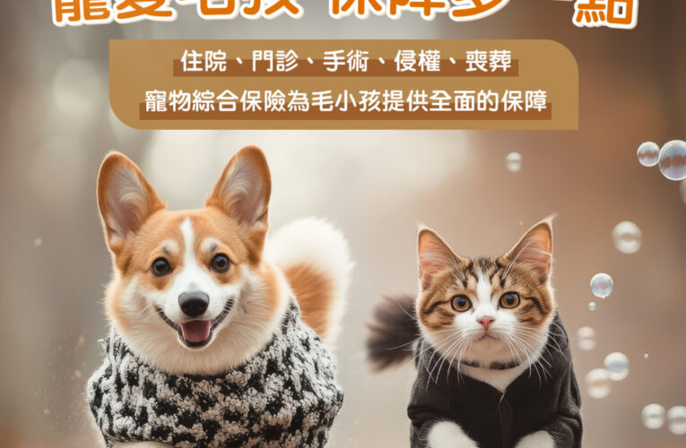 旺旺友聯寵物險3.0版9/1全新上線，打造飼主最強醫療後盾