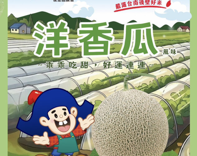 後壁稻米遇上洋香瓜！「洋香瓜米乖乖」聯名上市　國產米變身國民零食