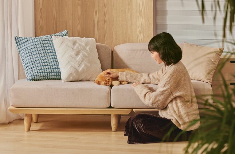 無穀飼料一定比較好？ 毛孩飲食關鍵一次看懂