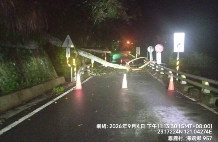 臺東縣海端鄉台20線180K+531(霧鹿路段)發生路樹倒塌，雙向道路阻斷無法通行