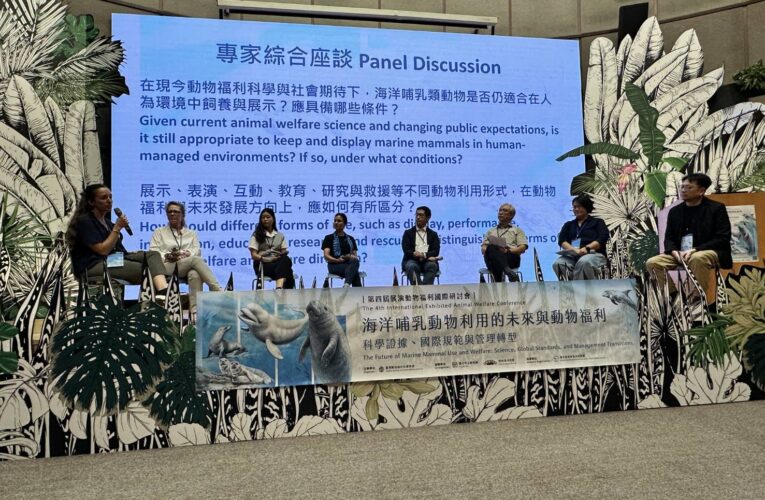 海保署聚焦鯨豚動物福利　攜手國際專家共議展演管理轉型