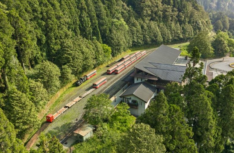 阿里山也能搭火車輕鬆玩！Taiwan Pass＋住宿優惠最高折5300元