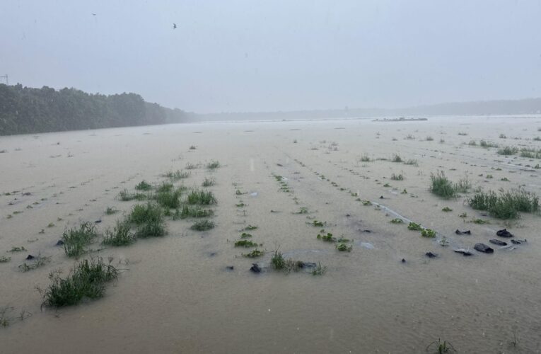 8月下旬豪雨致災 農業現金救助及低利貸款申請延長至9月18日