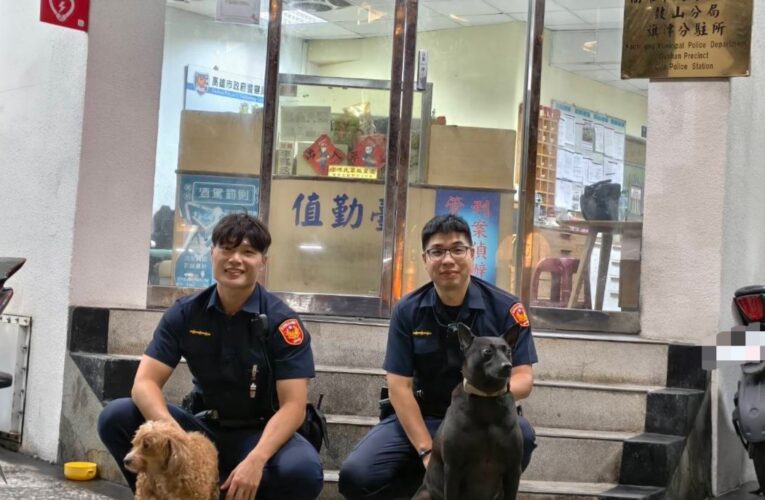 紅貴賓雨夜走失 警犬「黑醬」一聲示警衝出派出所助警尋回