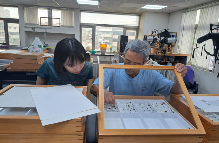 缺席直升大學 洪沛潔探索2年確認志向  特殊選才進興大昆蟲系